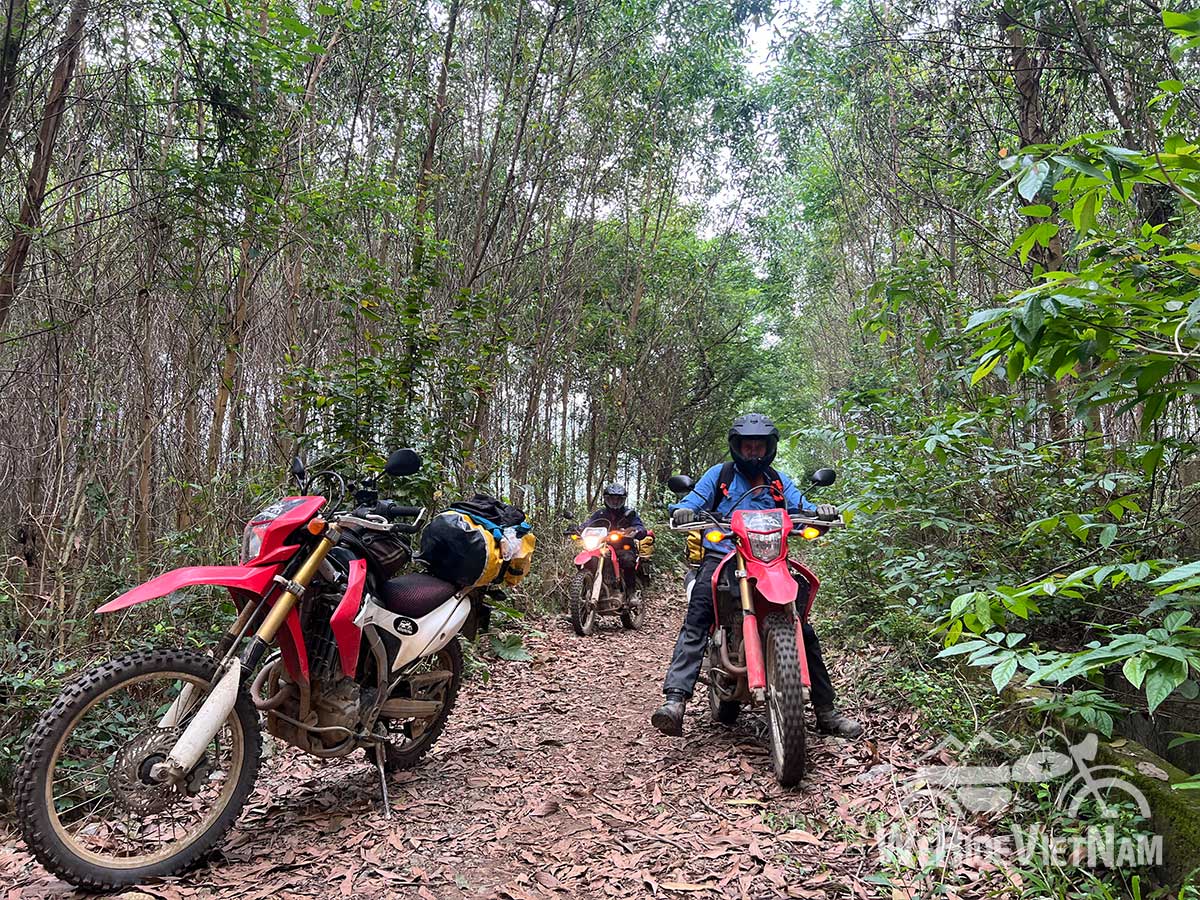 Ho Chi MInh Trail Motorbike